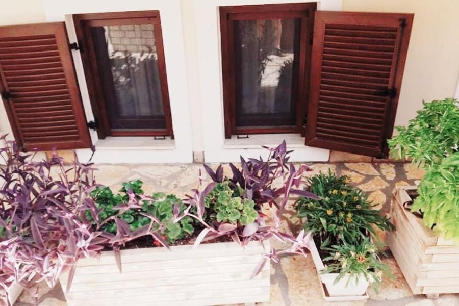 Villa Karolina Tsogkas ซิโวตา ภายนอก รูปภาพ